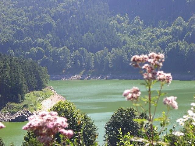 Rodinne Ubytovani Na Habesi Crhov Exterior foto